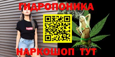 spice Кингисепп