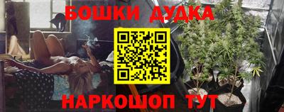 сатива Кинель