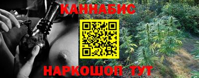 spice Кингисепп