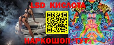 spice Кингисепп