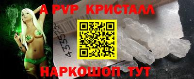 spice Кингисепп