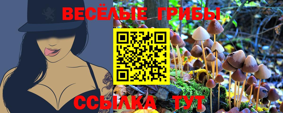 Галлюциногенные грибы мицелий  где продают   Волхов  Вход с VPN 